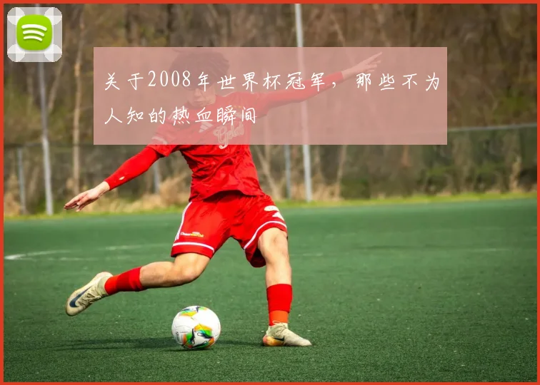 关于2008年世界杯冠军，那些不为人知的热血瞬间