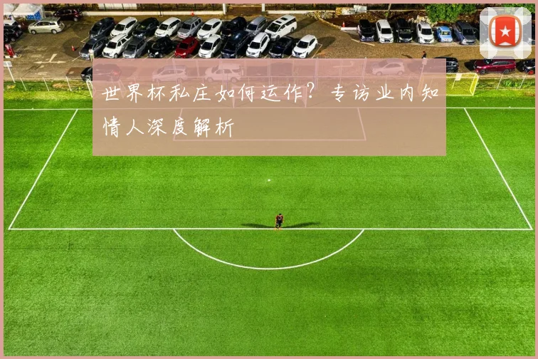 世界杯私庄如何运作？专访业内知情人深度解析