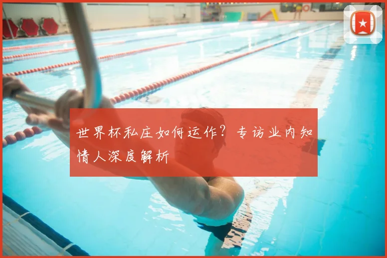 世界杯私庄如何运作？专访业内知情人深度解析