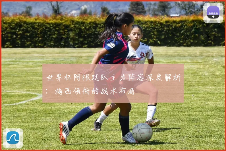 世界杯阿根廷队主力阵容深度解析：梅西领衔的战术布局