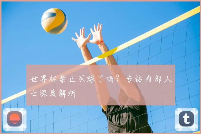 世界杯禁止买球了吗？专访内部人士深度解析