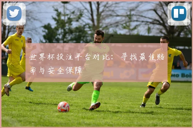 世界杯投注平台对比：寻找最佳赔率与安全保障